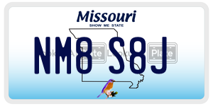 NM8S8J  license plate in MO