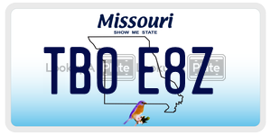 TB0E8Z  license plate in MO