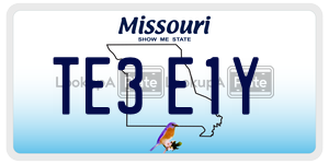 TE3E1Y  license plate in MO