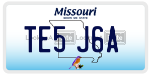 TE5J6A  license plate in MO