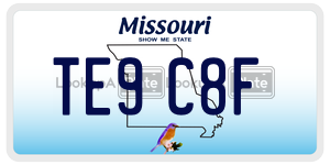 TE9C8F  license plate in MO