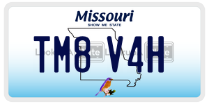 TM8V4H  license plate in MO