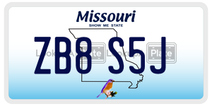 ZB8S5J  license plate in MO