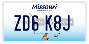 ZD6K8J  license plate in MO