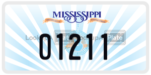 01211  license plate in MS
