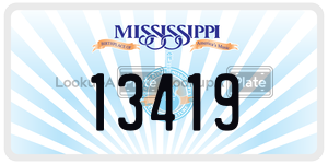 13419  license plate in MS
