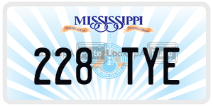228TYE  license plate in MS