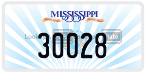 30028  license plate in MS