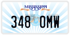 3480MW  license plate in MS