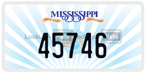 45746  license plate in MS
