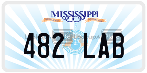 482LAB  license plate in MS