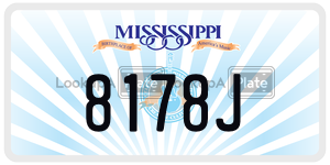 8178J  license plate in MS