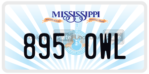 8950WL  license plate in MS
