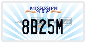 8B25M  license plate in MS