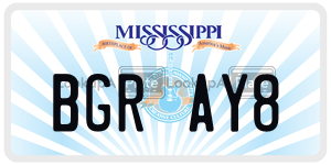 BGRAY8  license plate in MS
