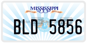 BLD5856  license plate in MS