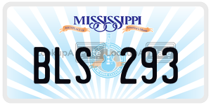 BLS293  license plate in MS