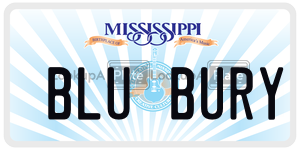 BLUBURY  license plate in MS
