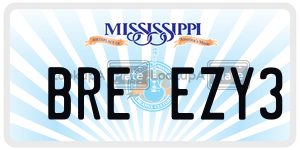 BREEZY3  license plate in MS