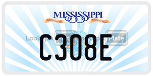 C308E  license plate in MS
