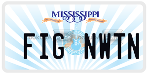 FIGNWTN  license plate in MS