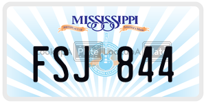 FSJ844  license plate in MS