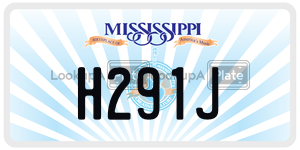 H291J  license plate in MS