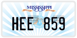 HEE859  license plate in MS