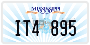 IT4895  license plate in MS