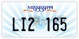 LI2165  license plate in MS