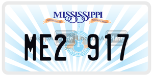 ME2917  license plate in MS
