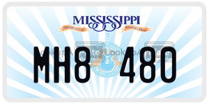 MH8480  license plate in MS