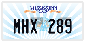 MHX289  license plate in MS