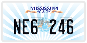 NE6246  license plate in MS