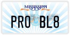 PROBL8  license plate in MS