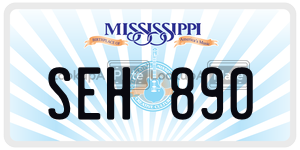 SEH890  license plate in MS