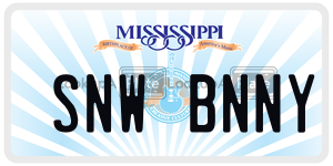 SNWBNNY  license plate in MS