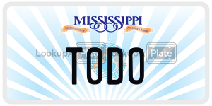 TODO  license plate in MS