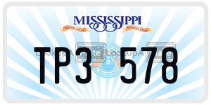 TP3578  license plate in MS