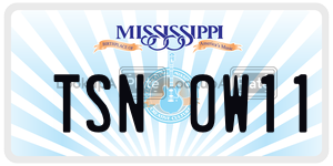 TSNOW11  license plate in MS