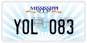 YOLO83  license plate in MS