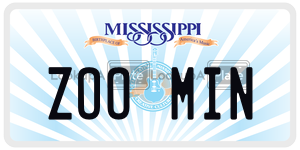 ZOOMIN  license plate in MS