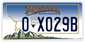 0X029B  license plate in MT