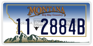 112884B  license plate in MT