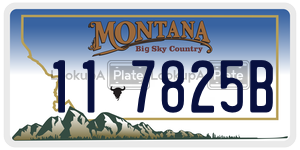 117825B  license plate in MT