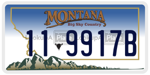 119917B  license plate in MT