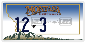 123  license plate in MT