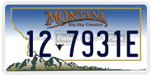 127931E  license plate in MT