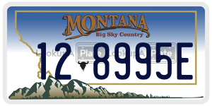 128995E  license plate in MT