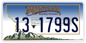 131799S  license plate in MT